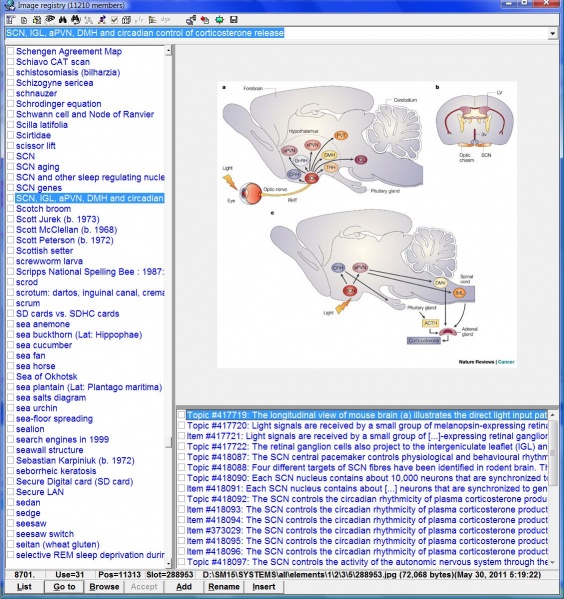 SuperMemo: Image registry which you can use to review images used in your collection
