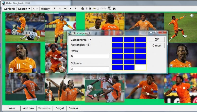 SuperMemo: Tiling Didier Drogba pictures with component tiling assistance