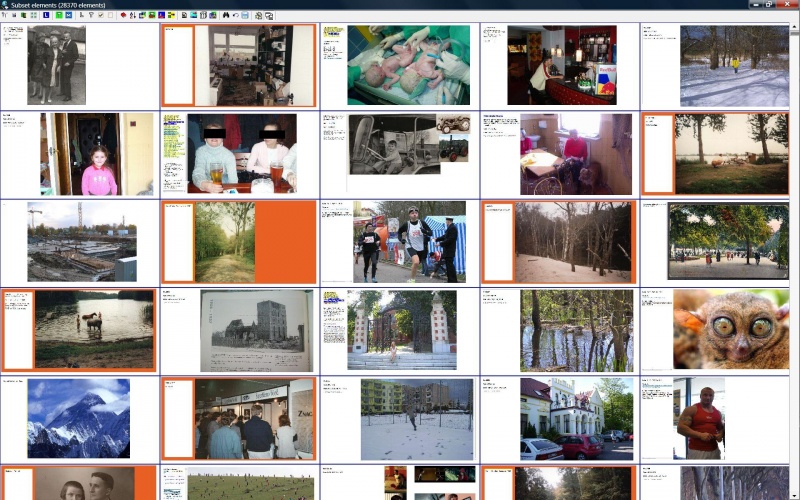 SuperMemo: Element browser in the thumbs mode
