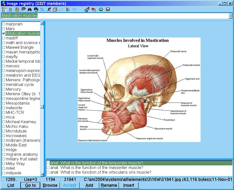 wpe11.jpg (123222 bytes)