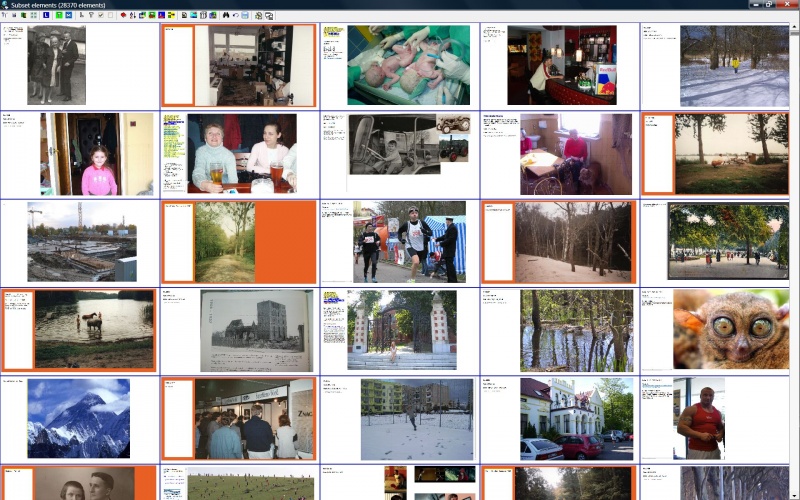 SuperMemo: Element browser in the thumbs mode