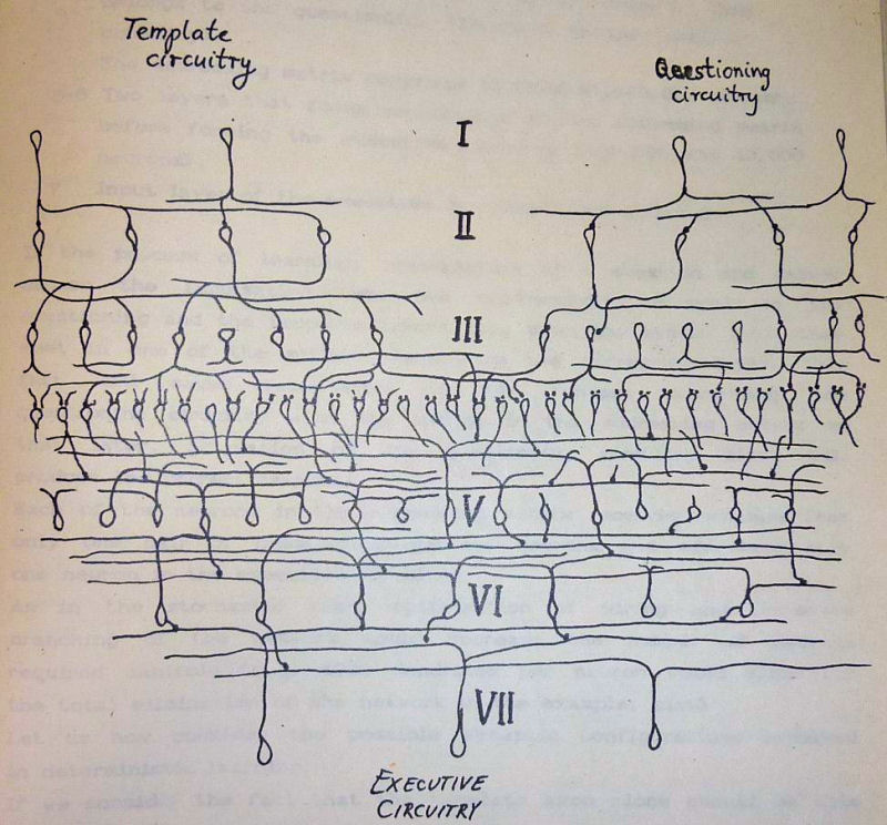 Exemplary organization of the neural network involved in deterministic learning.