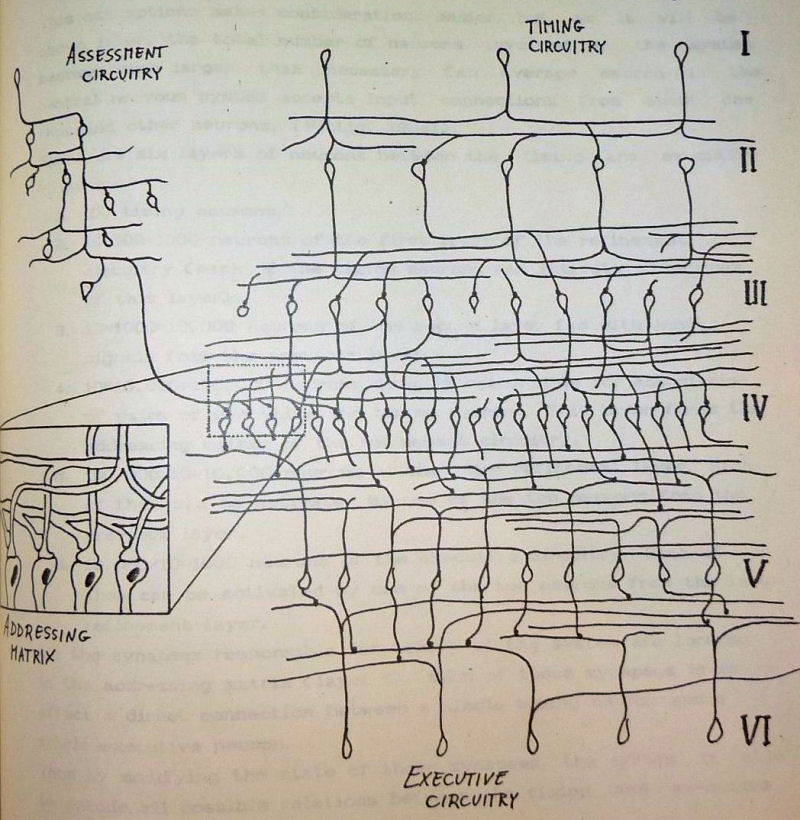 Exemplary organization of the refinement circuitry participating in the process of stochastic learning