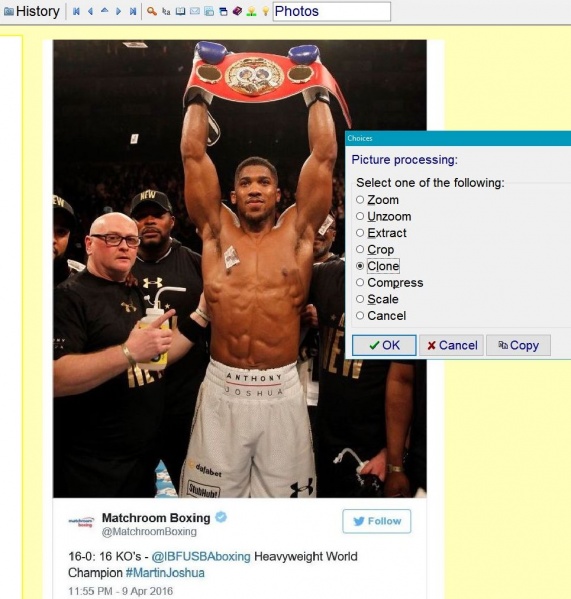 SuperMemo: Picture processing options available by pressing Shift+Ctrl+F8 (Image : Process from the image component menu)