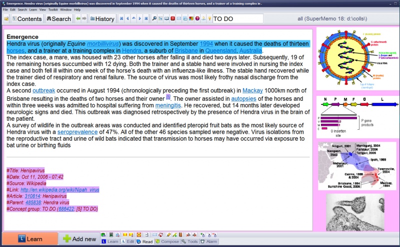 SuperMemo: A topic about henipavirus in the HTML component on the left and 4 images taken from it with Download images (Ctrl+F8) in their individual image components on the right
