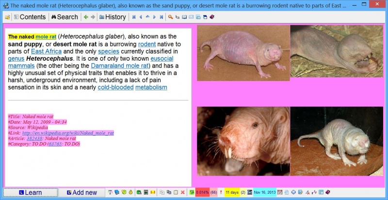 SuperMemo: Pasting four pictures of a naked mole rat into a single element