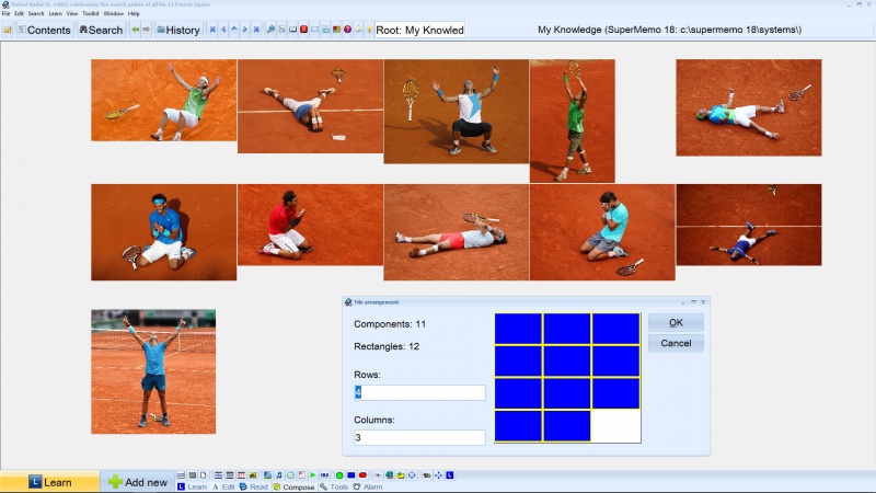 SuperMemo: Tiling Didier Drogba pictures with component tiling assistance