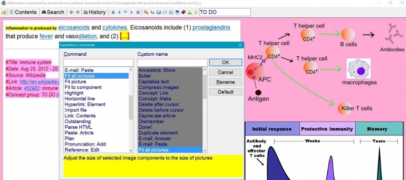 SuperMemo: SuperMemo Commander (available with Tools : Commander; alternatively, and more quickly, with Ctrl+Enter) allows of fast execution of commands via mnemonic keyboard shortcuts