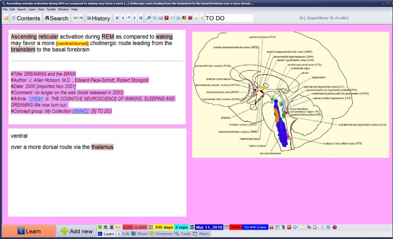 SuperMemo: The element window with the learnbar along its bottom