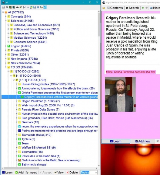 SuperMemo: The contents window displaying the knowledge tree (i.e. the hierarchical structure of elements) of a collection